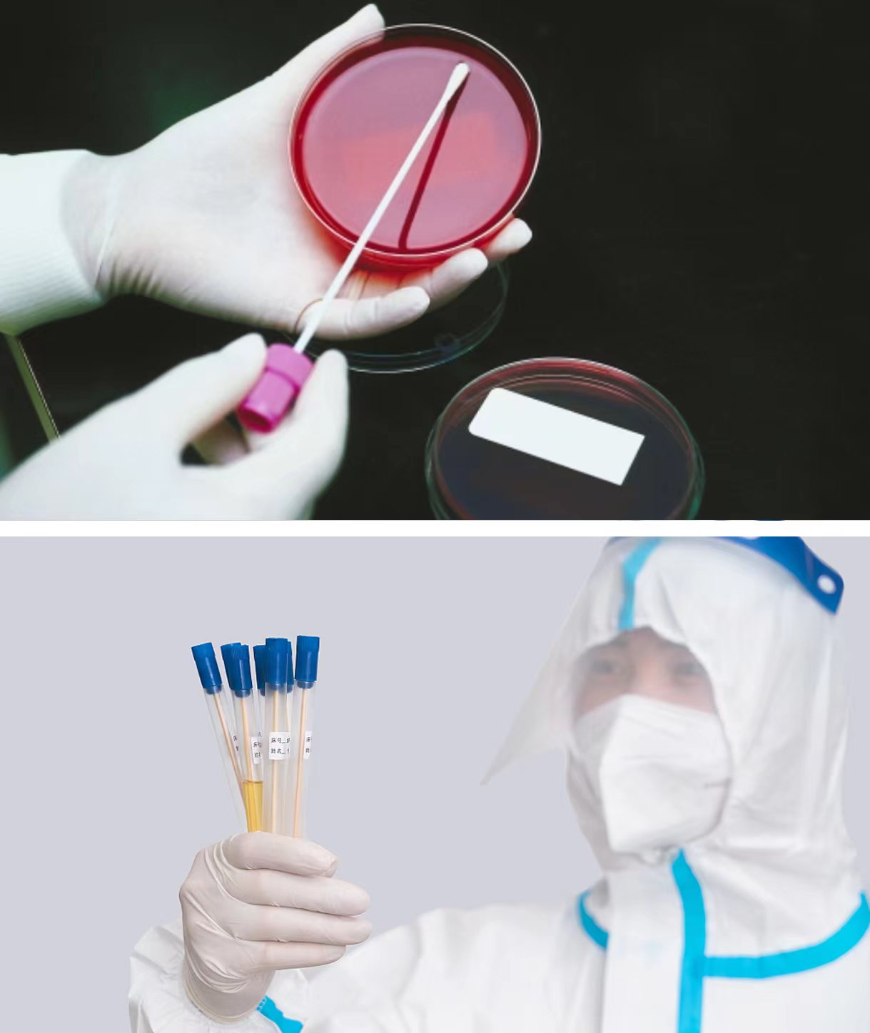 Environment and Microbiology