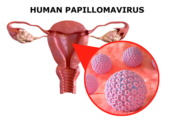 1722220595799682.jpg HPV.jpg